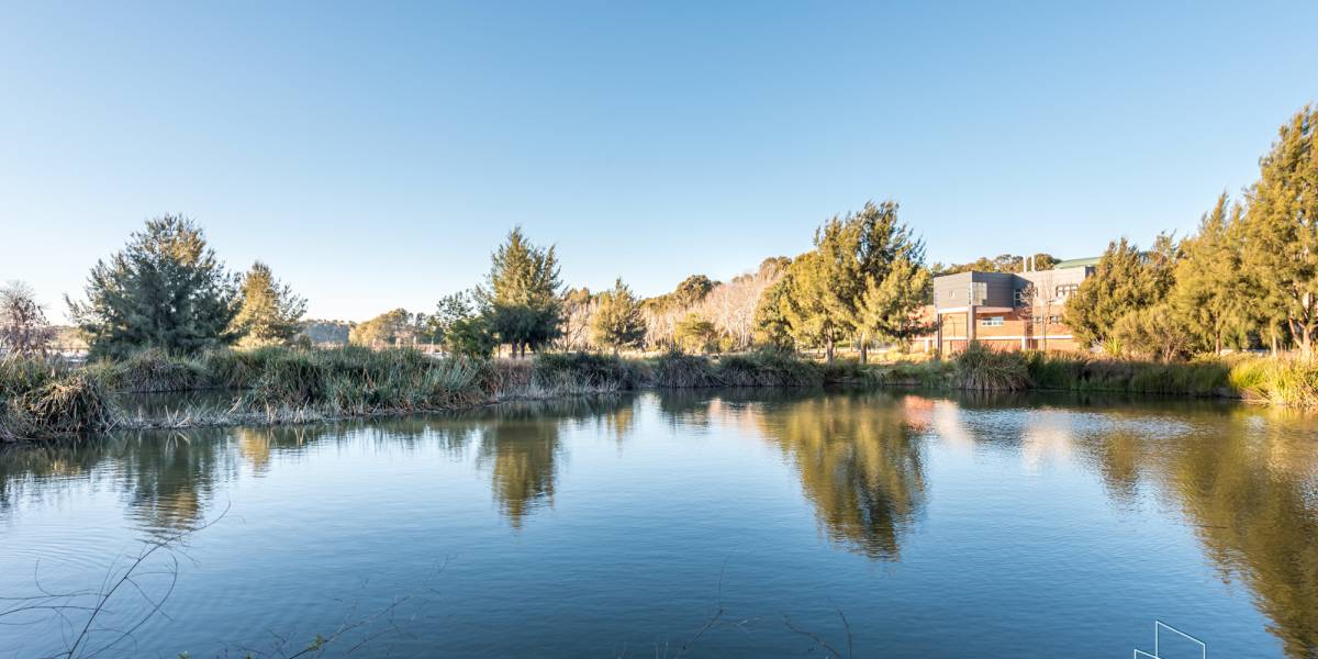 16/31 Disney Court, BELCONNEN, ACT 2617 AUS