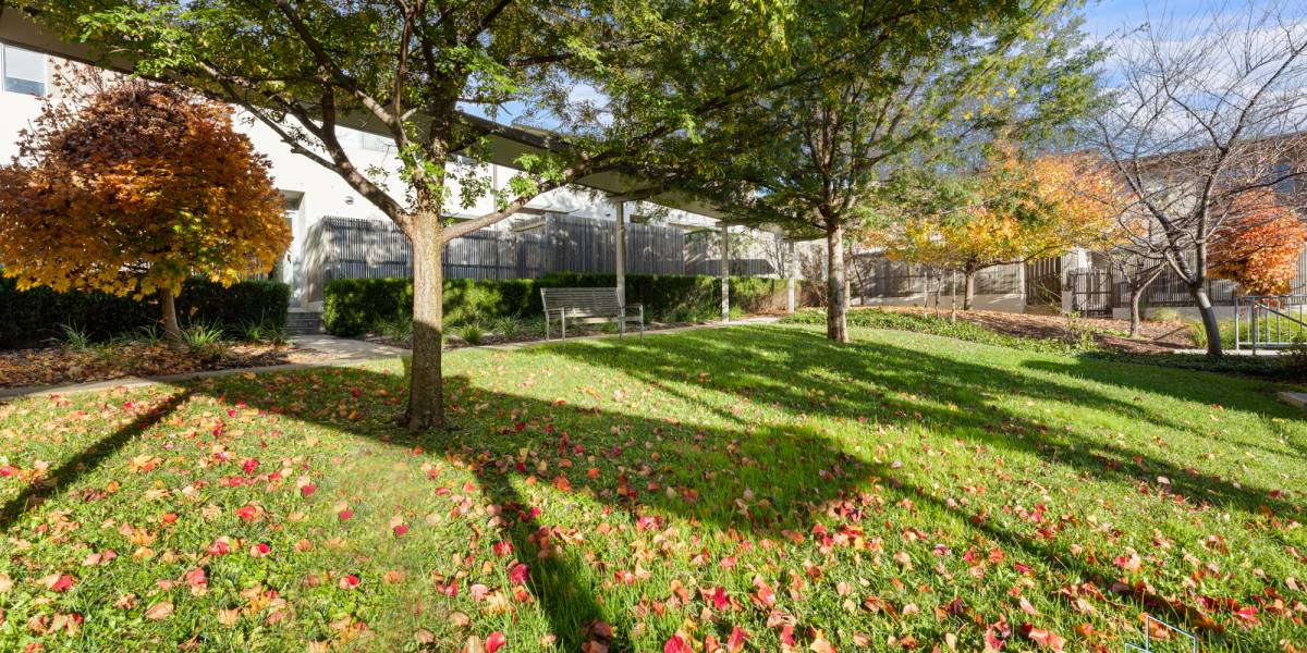 33/311 Flemington Road, FRANKLIN, ACT 2913 AUS