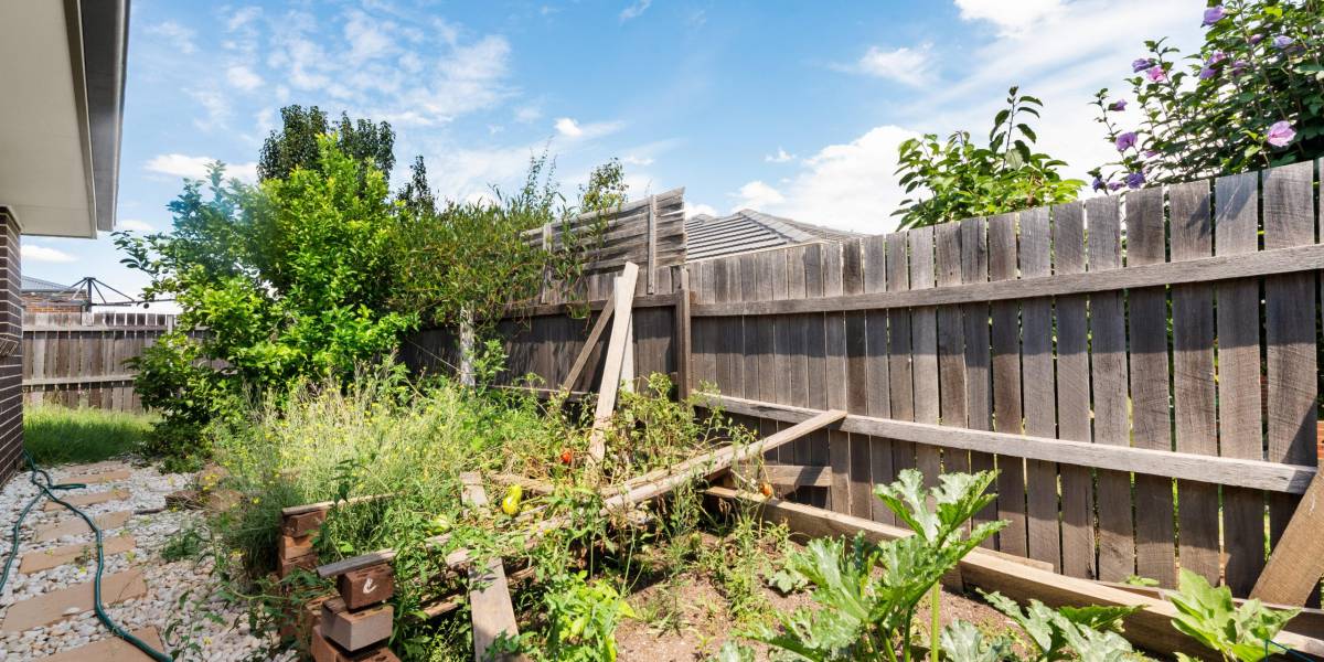 11 Fairydale Street, HARRISON, ACT 2914 AUS
