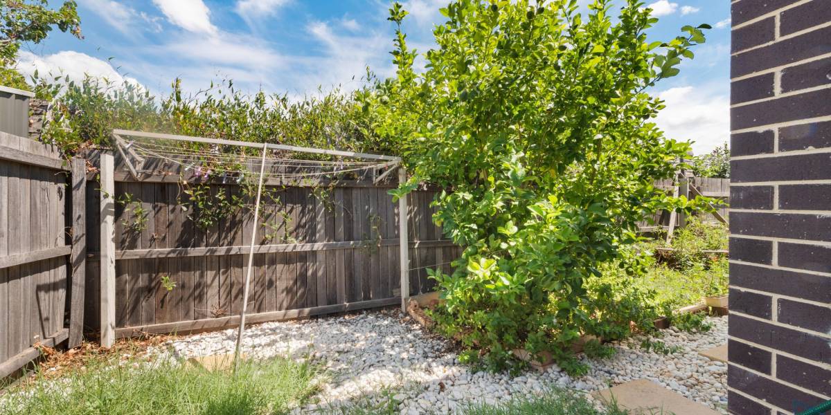11 Fairydale Street, HARRISON, ACT 2914 AUS