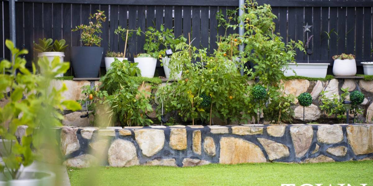 43 Patrick Shaw Street, CASEY, ACT 2913 AUS