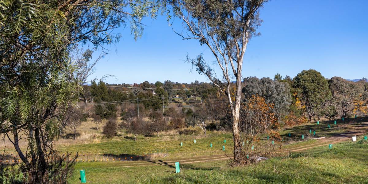 18 Vickers Crescent, FLYNN, ACT 2615 AUS
