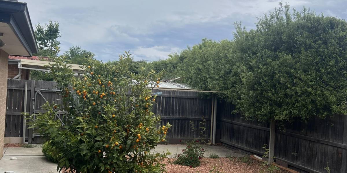 11 Joan Long Street, FRANKLIN, ACT 2913 AUS
